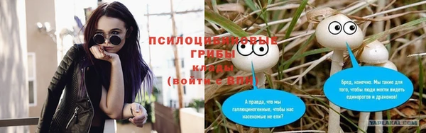 мяу мяу мука Алзамай