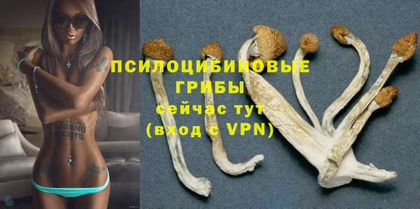 героин Алексин