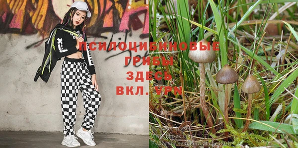 синтетический гашиш Алексеевка