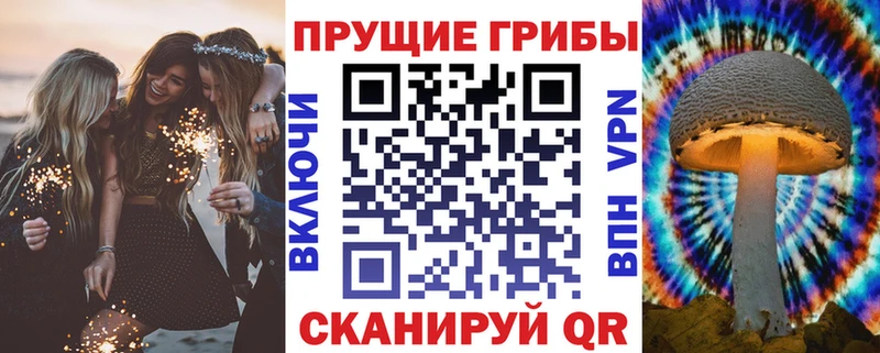 Псилоцибиновые грибы мухоморы  МЕГА ТОР  Каменка  где продают наркотики 